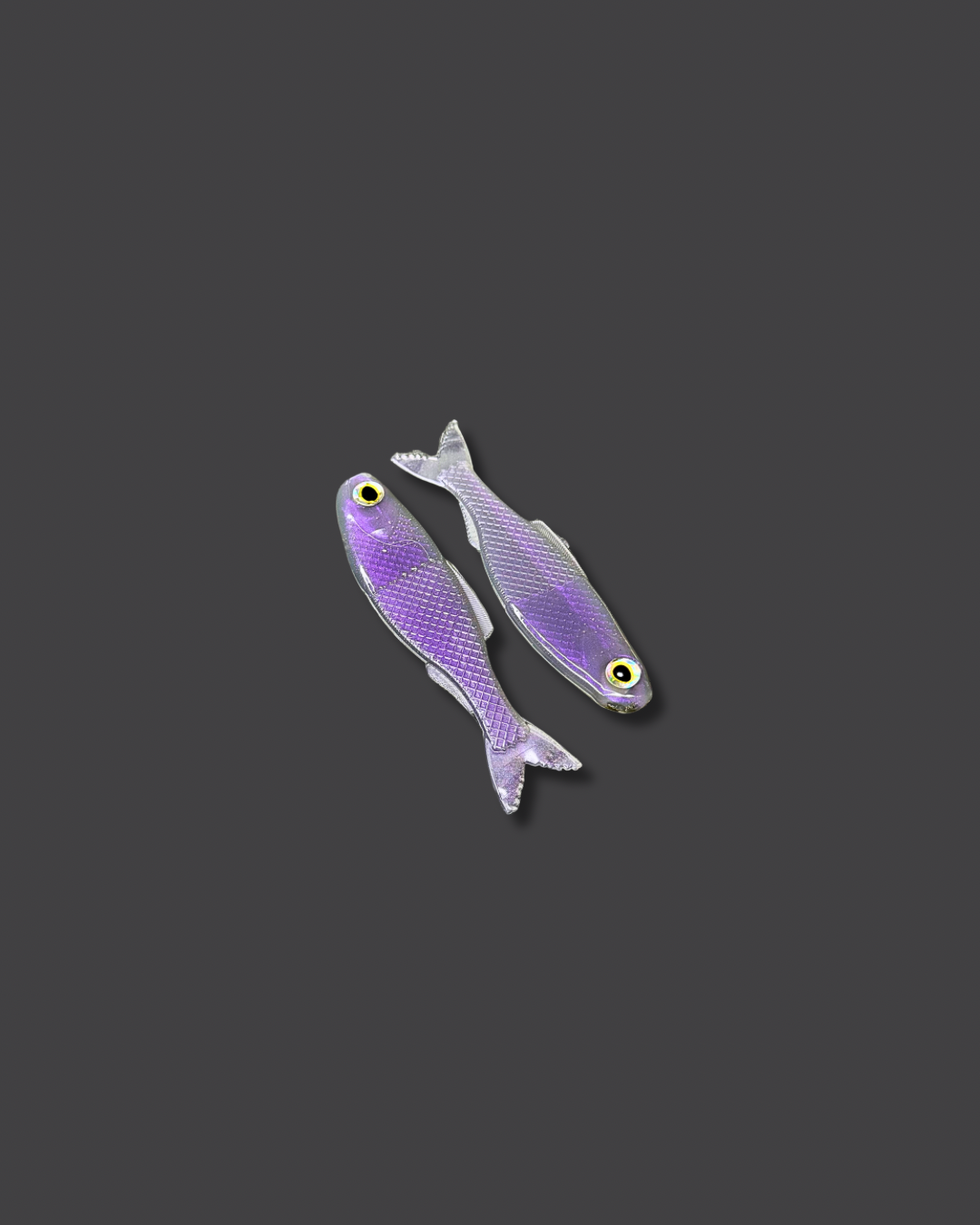 Flak Shad