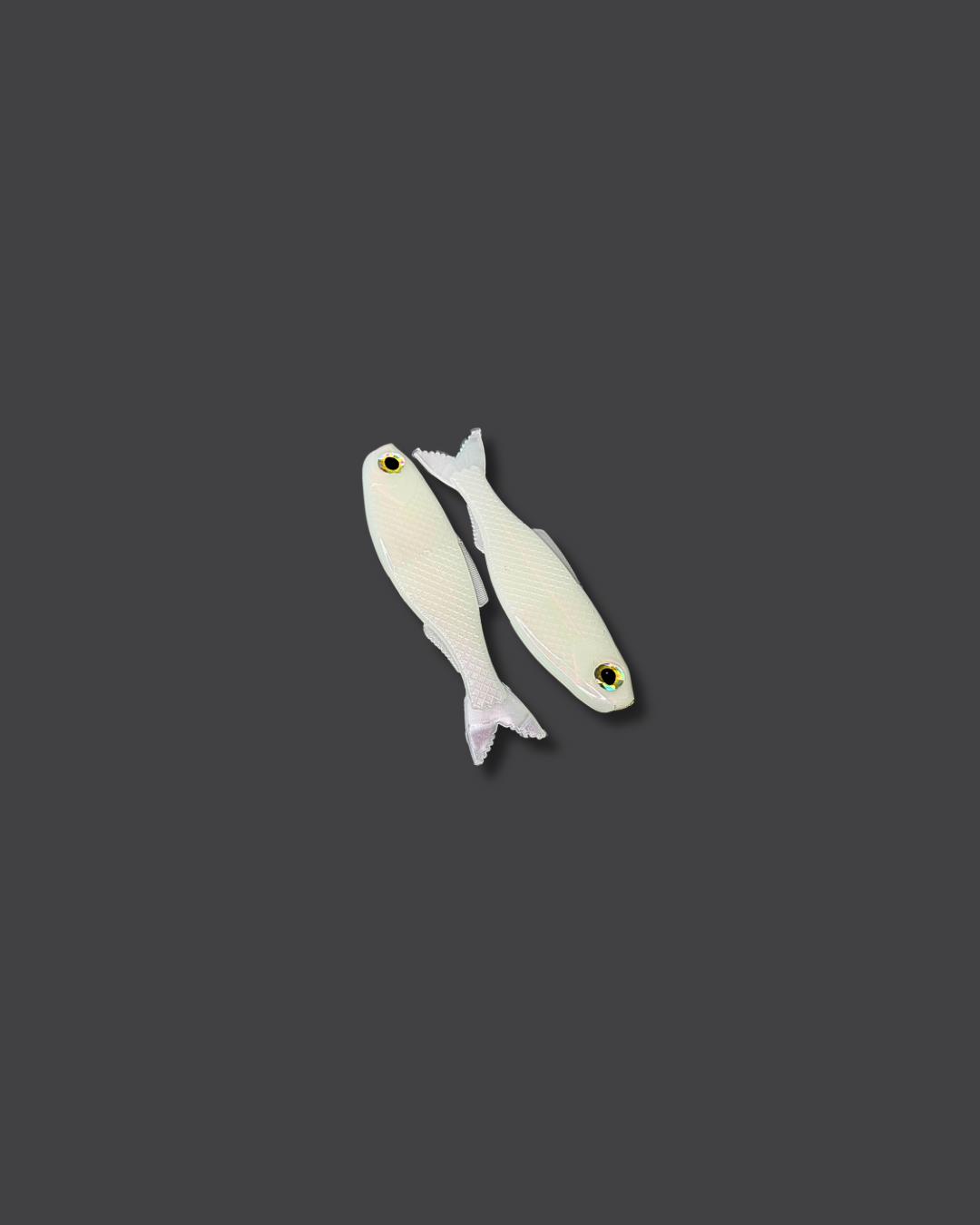Flak Shad